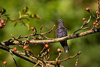 Coser顶流Enako透露自己游戏氪金额 玩家惊叹